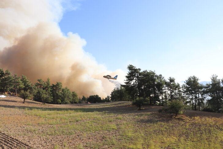 GÜNCELLEME 2 - Denizli-Muğla sınırında çıkan orman yangını kısmen kontrol altına alındı G5