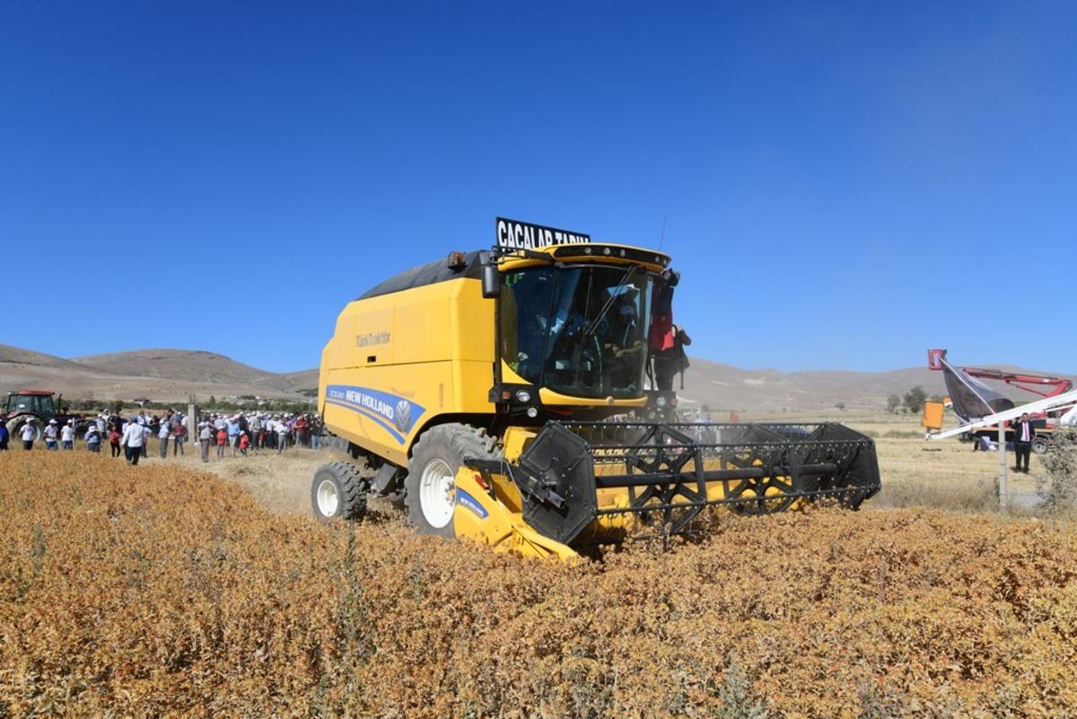 Kayseri'de aspir hasadı yapıldı