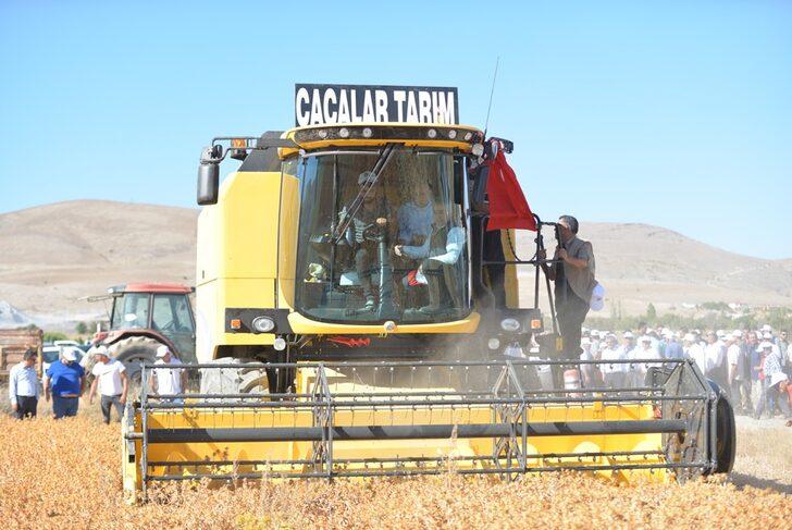 Kayseri'de aspir hasadı yapıldı G2