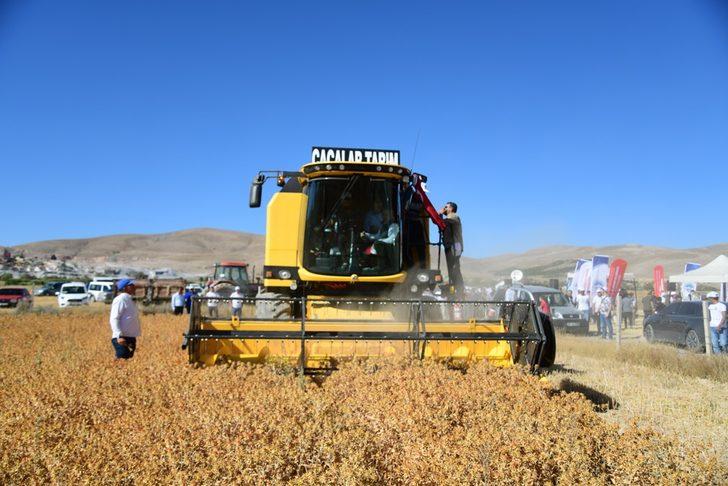 Kayseri'de aspir hasadı yapıldı G3