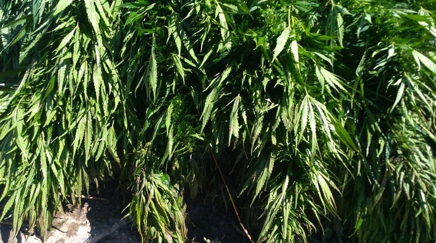 Ankara'da dalgıç destekli uyuşturucu operasyonunda bir kişi tutuklandı