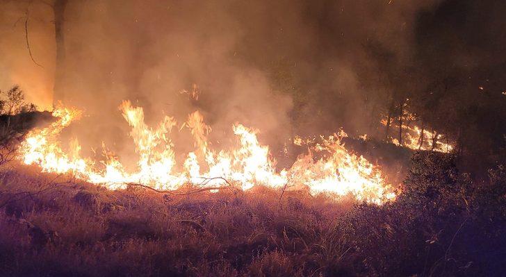 Denizli-Muğla sınırında çıkan orman yangını söndürüldü G1