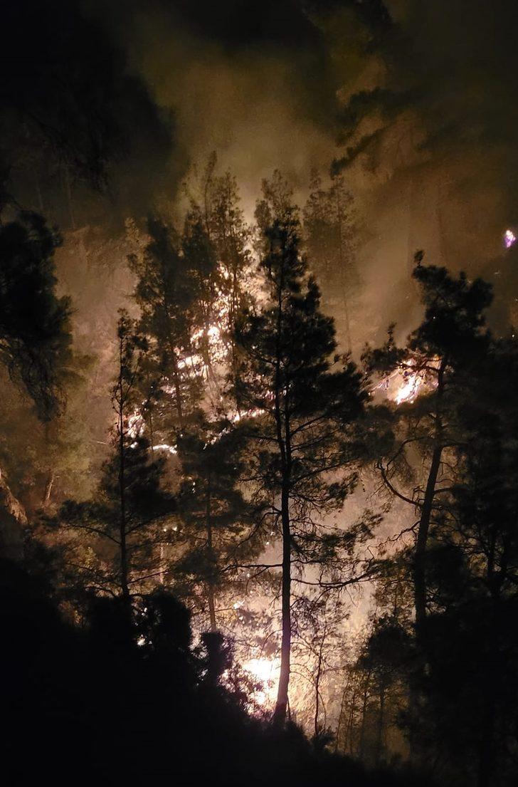 Denizli-Muğla sınırında çıkan orman yangını söndürüldü G2