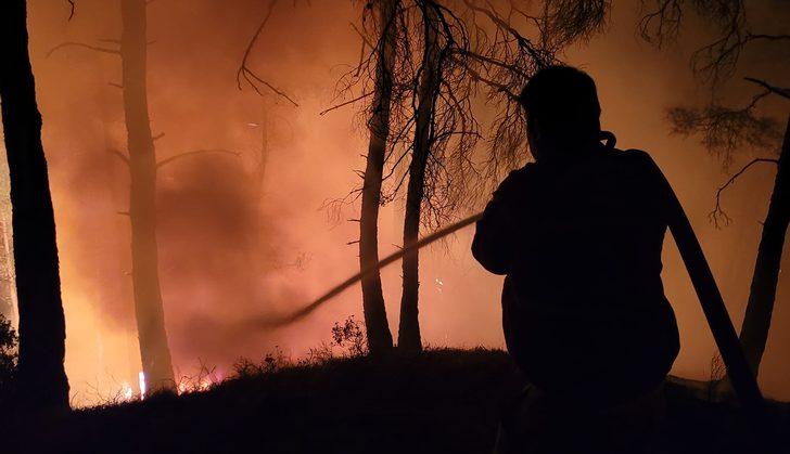 Denizli-Muğla sınırında çıkan orman yangını söndürüldü G3