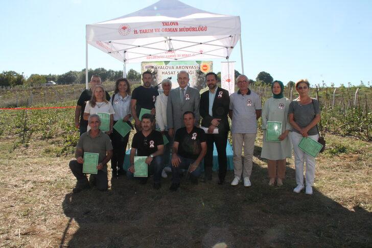 Tescilli "Yalova aronyası"nın üretimini artırmak için hasat şenliği yapıldı G1