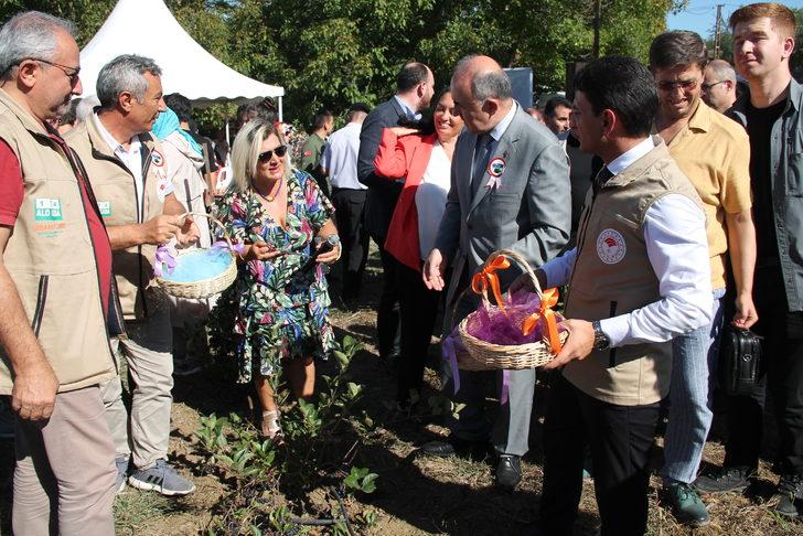 Tescilli "Yalova aronyası"nın üretimini artırmak için hasat şenliği yapıldı G3