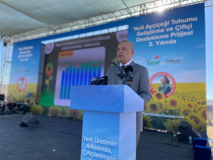 Konya'da yerli ayçiçeği tohumu geliştirilmesi için yetiştirilen ürünler hasat edildi G3