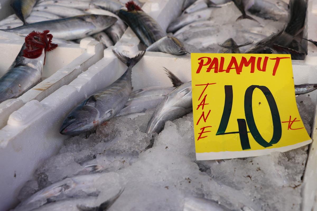 Karadeniz'deki palamut bolluğu Edirne'deki tezgahları şenlendirdi