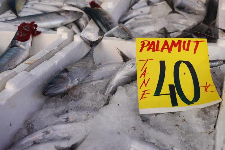 Karadeniz'deki palamut bolluğu Edirne'deki tezgahları şenlendirdi G1
