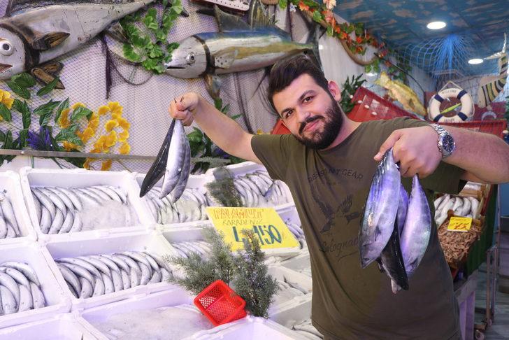 Karadeniz'deki palamut bolluğu Edirne'deki tezgahları şenlendirdi G3