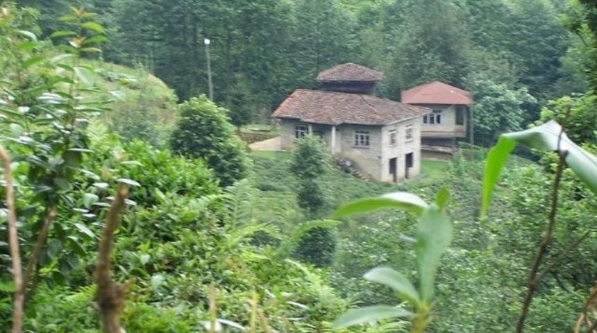 Enerji kenti Artvin'de elektrik yok