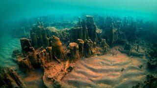 Van Gölü’nde yeni mikrobiyalit alanları bulundu