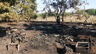 Tekirdağ'da çıkan yangında 110 arı kovanı zarar gördü