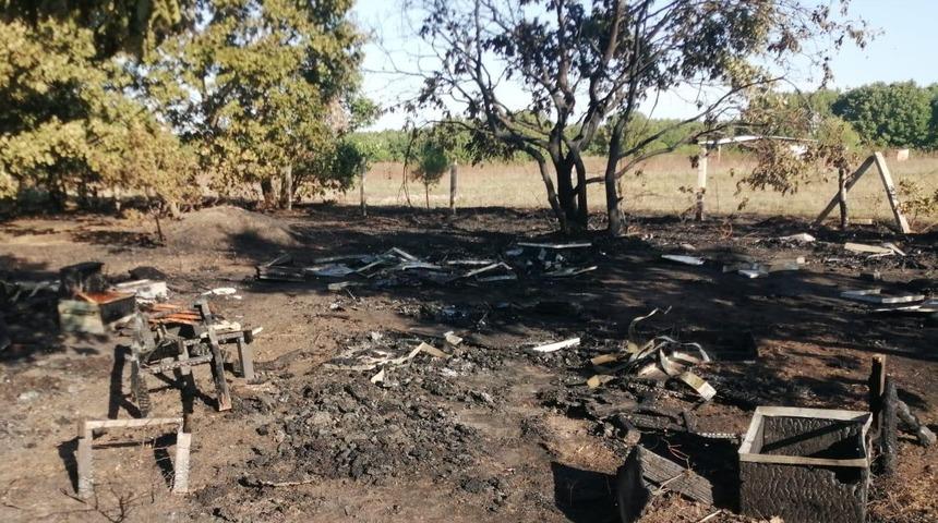 Tekirdağ'da çıkan yangında 110 arı kovanı zarar gördü