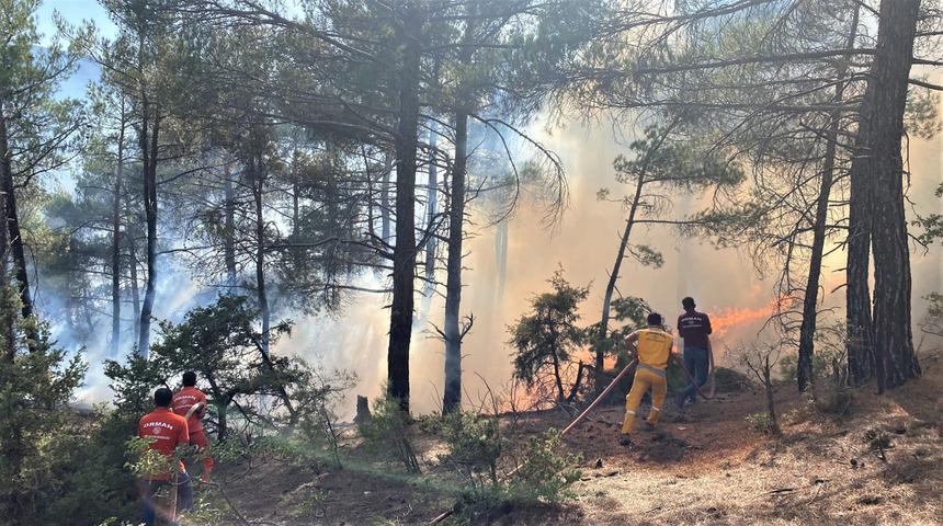 Kütahya’da çıkan orman yangını kontrol altına alınarak söndürüldü