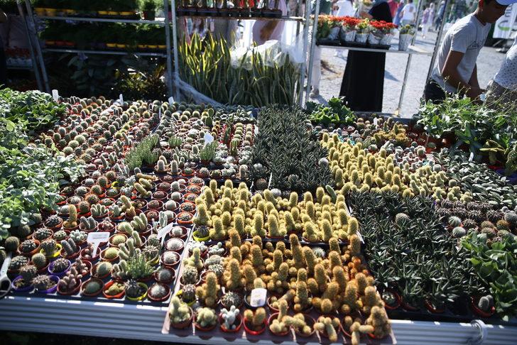 Sakarya'da Bahçe Sanatları ve Ekipmanları Fuarı sona erdi G3