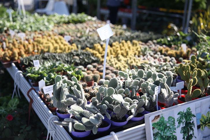 Sakarya'da Bahçe Sanatları ve Ekipmanları Fuarı sona erdi G4