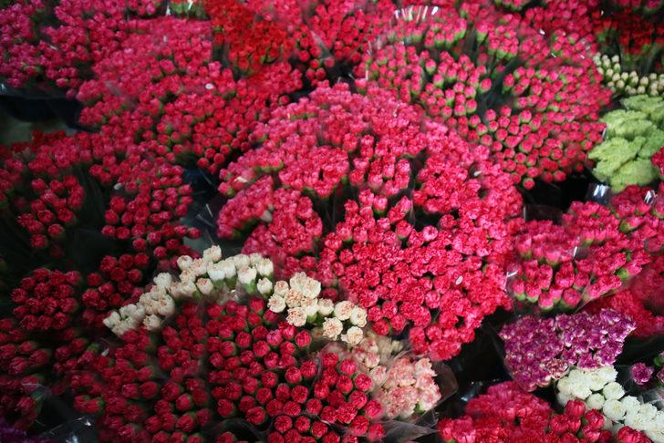 Kraliçe Elizabeth'in cenazesi için iki ilde karanfil mesaisi! En az 1,5 milyon dalı bulacak: Çalışma saatleri ve işçi sayıları artırıldı G4