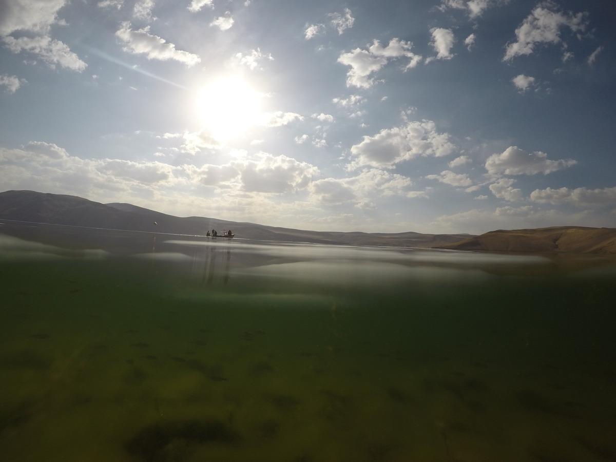 Balık G&ouml;l&uuml;'nde yumurtadan &ccedil;ıkan balık yavruları g&ouml;r&uuml;nt&uuml;lendi