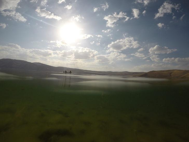 Balık Gölü'nde yumurtadan çıkan balık yavruları görüntülendi G1