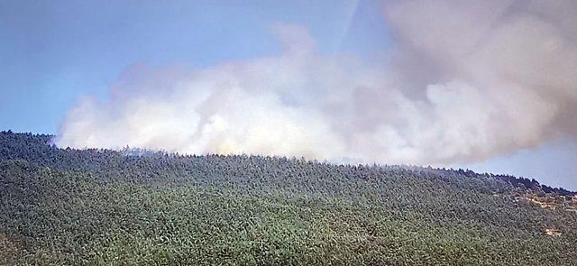 Tokat'ın Reşadiye ilçesinde çıkan orman yangını kontrol altına alındı
