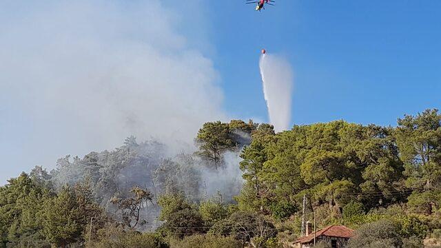 Antalya'da orman yangını çıktı