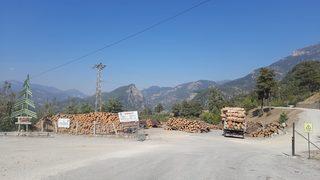 Adana'da üzerine tomruk devrilen işçi öldü