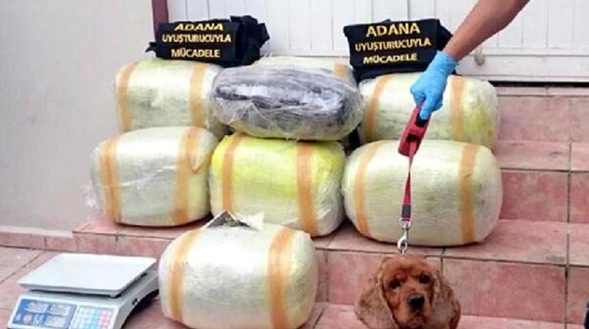 Evinde 52.5 Kilo Esrar &Ccedil;ıkan Karı Koca Tutuklandı Savunları Pes Dedirtti!