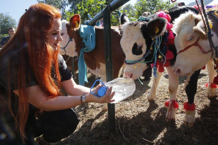 "Nebiyan Doğa Festivali" sona erdi G2