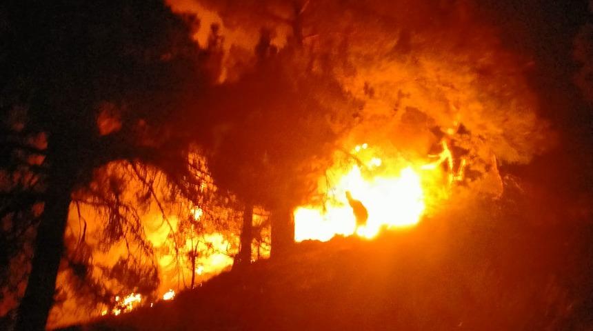 Adana'da ormanlık alanda çıkan yangın söndürüldü