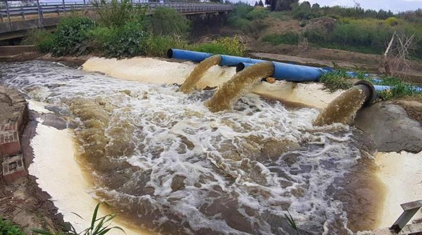 Büyük Menderes Nehri'nde korkutan görüntü! 'Hastalık yayan bir bölge haline gelebilir'