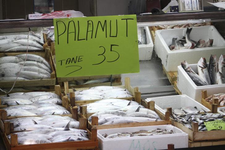 Düzce'de palamudun tanesi 30 liraya kadar düştü G3