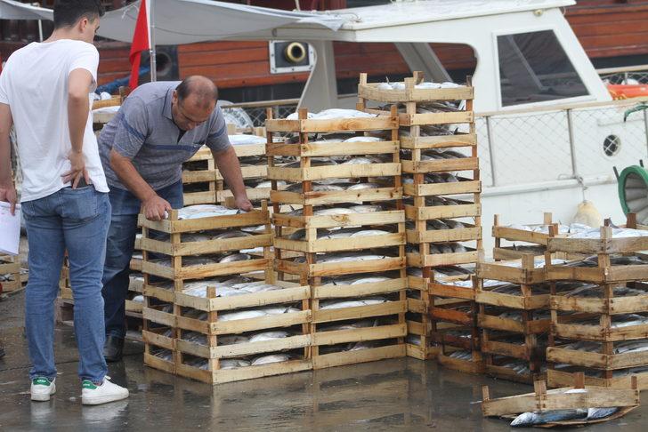 Düzce'de palamudun tanesi 30 liraya kadar düştü G5