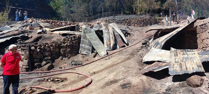 Artvin'de çıkan yangında 3 ev, 3 samanlık zarar gördü G2