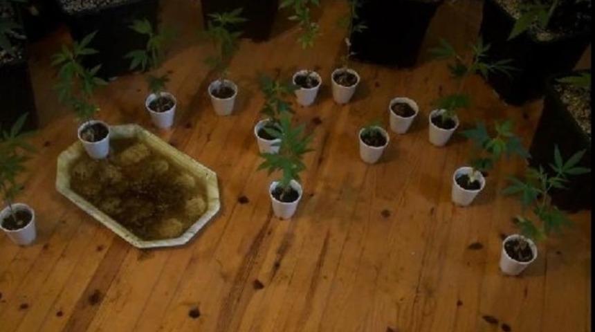 Daireyi esrar serasına çevirdi