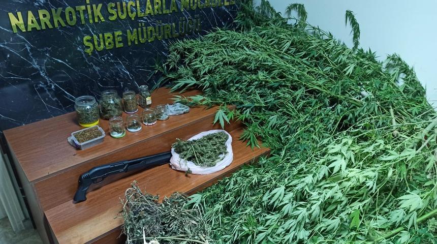 Sakarya'da uyuşturucu operasyonlarında 5 zanlı tutuklandı