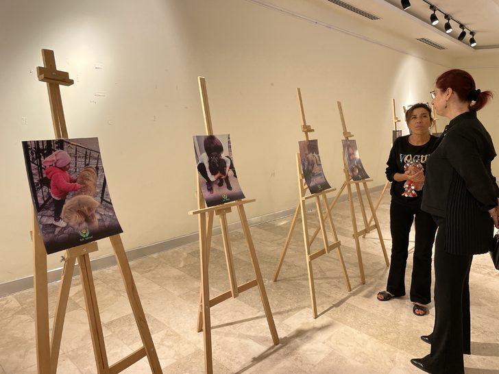 Tekirdağ'da "Kalbim pati pati atıyor" fotoğraf sergisi açıldı G2