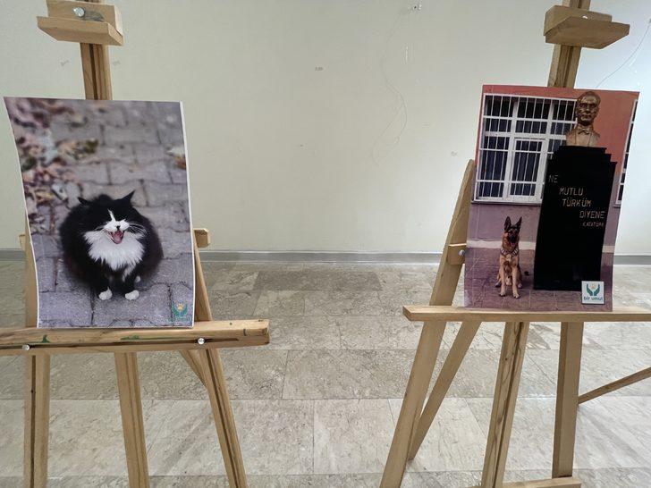 Tekirdağ'da "Kalbim pati pati atıyor" fotoğraf sergisi açıldı G5