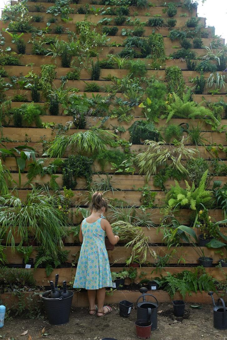 Agnes Denes'in "Yaşayan Piramit"i Sakıp Sabancı Müzesi’nde sanatseverlerle buluşacak G4
