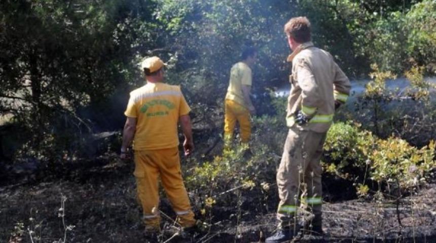 Yalova’da 30 dönümlük orman alan yandı