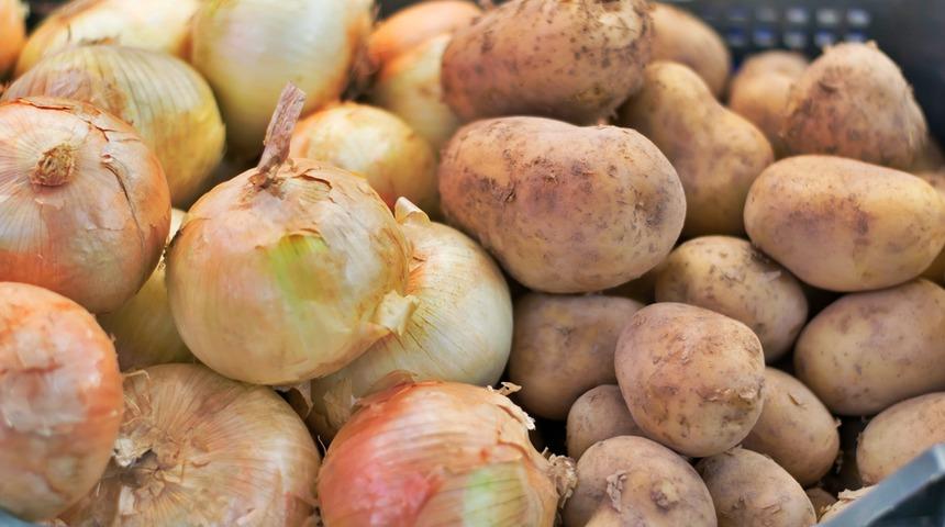 Yüzde 339 zamlanmıştı! Üreticiler duyurdu: Sofralara ucuz patates ve soğan geliyor