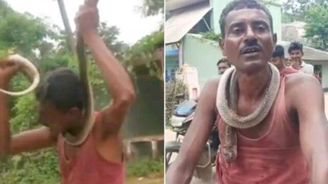 Kendisini ısıran yılanı zehirledi! Yetmedi öldürüp ibret olsun diye boynuna asıp gezdirdi