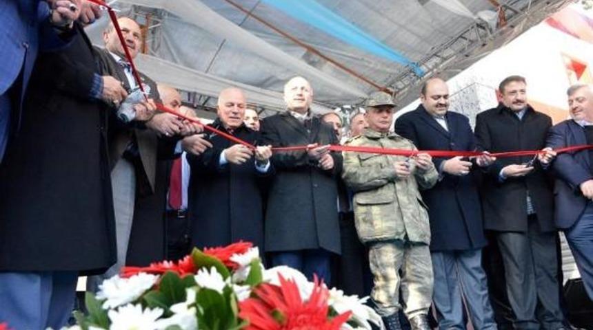 Mezarlığı &Ccedil;ok Beğenen Validen Şok A&ccedil;ıklama İnsanın &Ouml;lesi Geliyor!