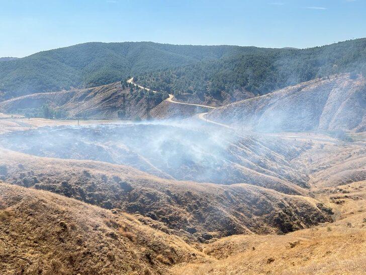 Bingöl'de çıkan örtü yangını söndürüldü G2
