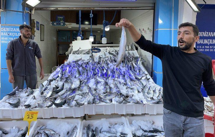 Karadeniz'de avlanan 1 kilogramlık palamutlar 35 liradan alıcı buluyor G2