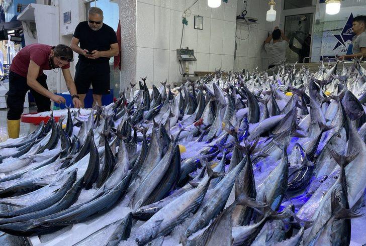 Karadeniz'de avlanan 1 kilogramlık palamutlar 35 liradan alıcı buluyor G3