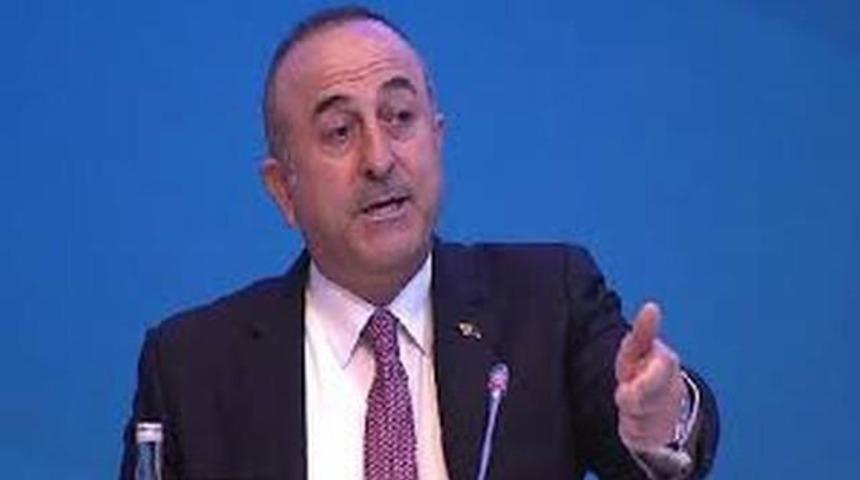 Dışişleri Bakanı Ermeni Milletvekiline Tokat Gibi Cevap Verdi!Neler S&ouml;yledi?