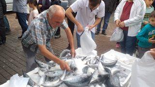 Zonguldak'ta palamut bolluğu fiyatlara yansıdı