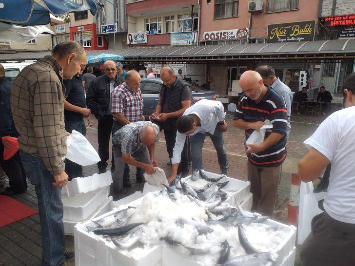 Zonguldak'ta palamut bolluğu fiyatlara yansıdı G2