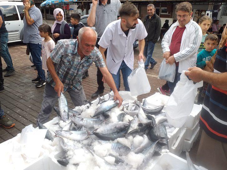 Zonguldak'ta palamut bolluğu fiyatlara yansıdı G3